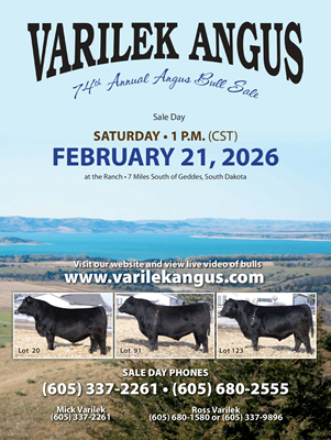 Varilek Angus Sale Ad