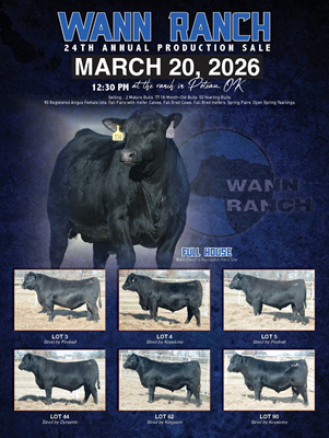 Wann Ranch Sale Book