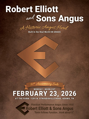 91st Anniversary Sale