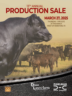 13th Annual Bull & Female Sale