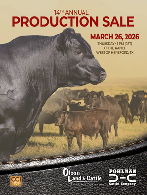 14th Annual Bull & Female Sale