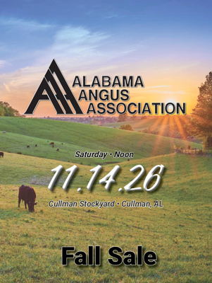 Alabama Angus Association Fall Sale