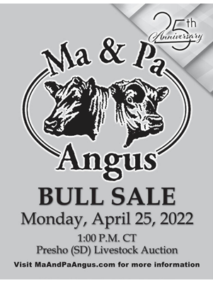 Ma and Pa Angus Bull Sale 2022