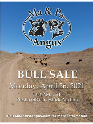 Ma and Pa Angus Bull Sale 2021