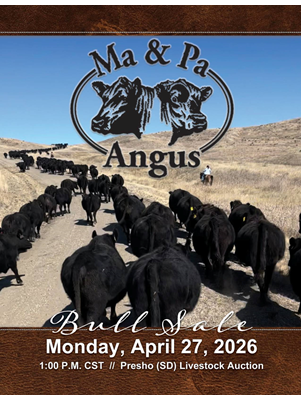 Sale catalog thumbnail