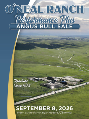 Sale Book cover