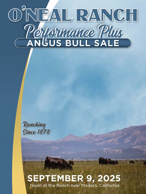 Sale Book cover