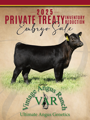 20224 Elite Embryo Auction Sale catalog