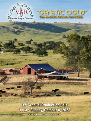 2023 Genetic Gold 37th Annual Production Sale catalog