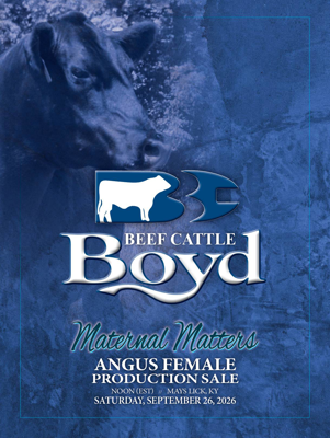 Sale Book thumbnail