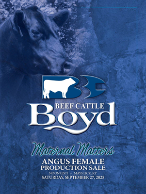 Sale Book thumbnail