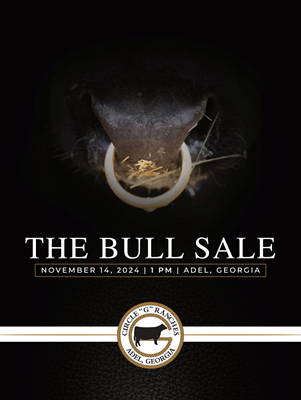 sale book cover