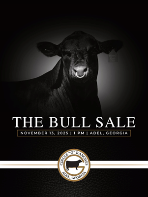 sale book cover