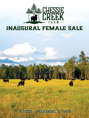 Sale Book