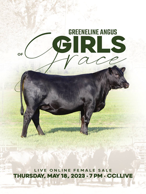 Greeneline Angus Online Female Sale book
