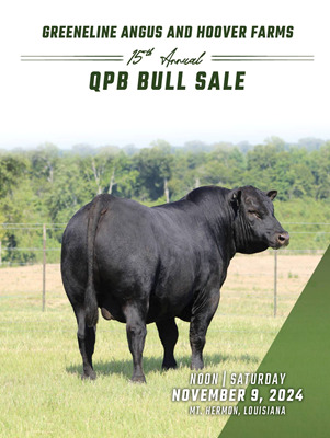 Greeneline Angus and Hoover Farms QPB Bull Sale book