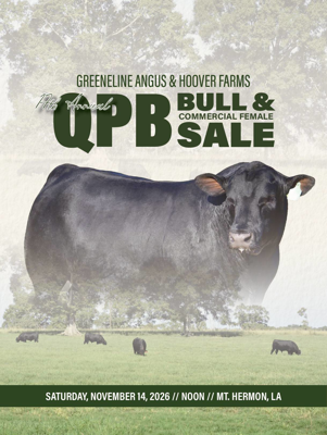 Greeneline Angus Bull Sale book