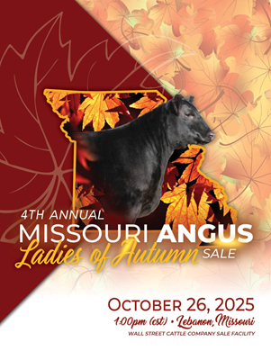 Missouri Angus Association Ladies of Autumn Sale Book