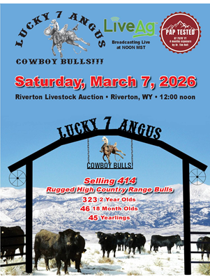 Lucky 7 Angus sale book