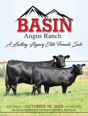 Sale Book thumbnail