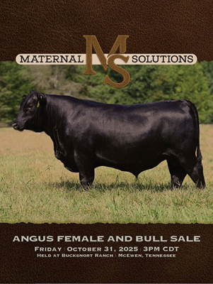 Maternal Solutions sale book thumbnail