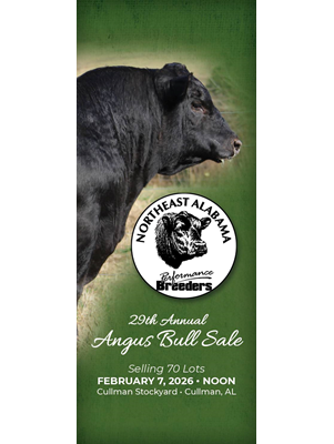 Northeast Alabama Performance Breeders Bull Sale book