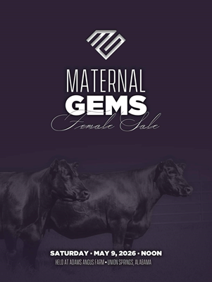 Maternal Gems Female Sale book