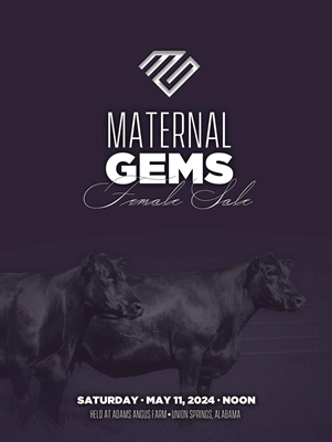 Maternal Gems Sale ad