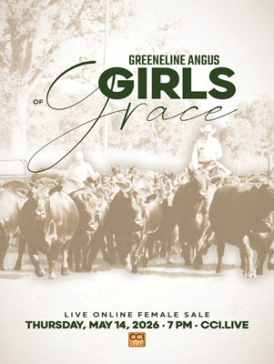 Greeneline Angus Female Sale book