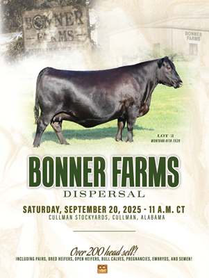 Bonner Farms Dispersal Sale Book