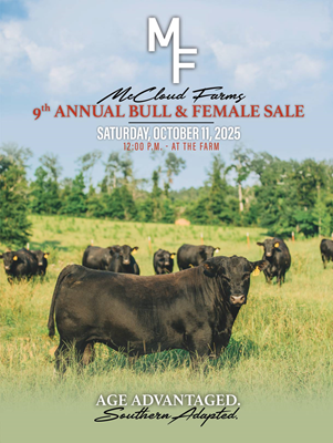 McCloud Farms Bull & Female Sale Book