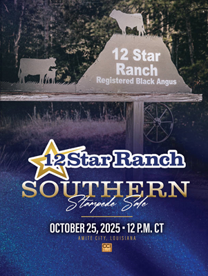12 Star Ranch Bull & Female Sale Book