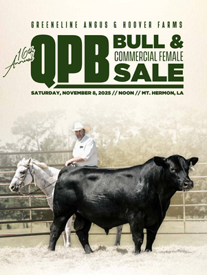 Greeneline Angus Bull Sale Book