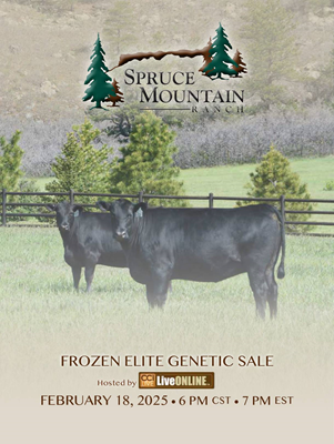 Frozen Elite Genetic Sale Cover