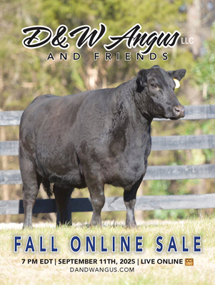 2025 Sale Book thumbnail