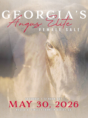 Sale Book thumbnail