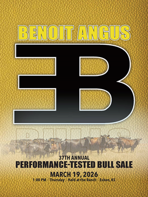 Benoit Angus Production Sale