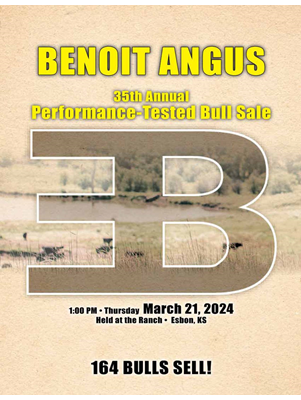 Benoit Angus Production Sale