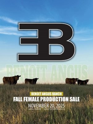 Benoit Angus Production Sale