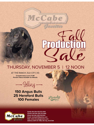 Sale Ad thumbnail