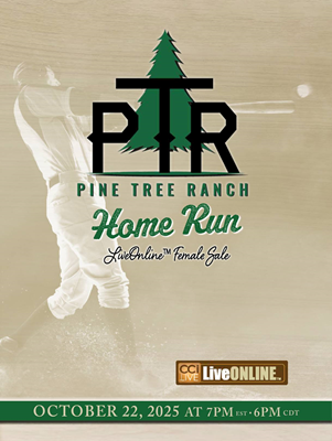 Pine Tree Angus Changing the Game Sale Ad