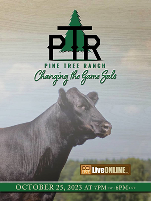 Pine Tree Angus Changing the Game Sale Book