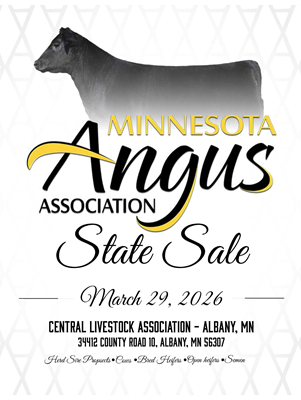 Sale Flyer thumbnail