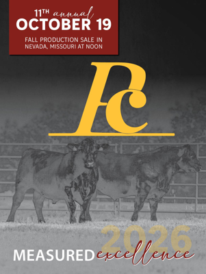 Sale Book Cover