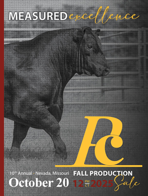 Sale Book Cover