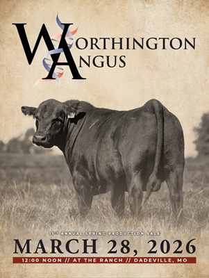 11th Annual Spring Production Sale
