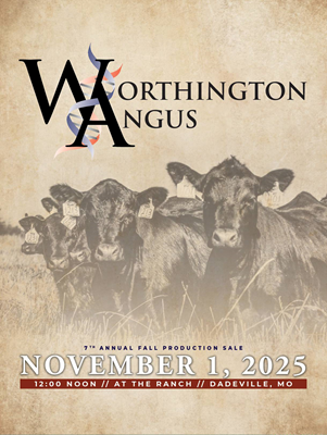 7th Annual Fall Sale