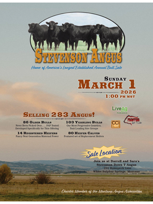 Stevenson Angus Annual Bull Sale Catalog