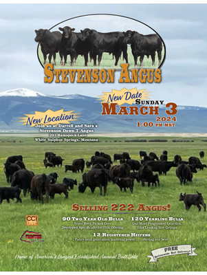 Stevenson Angus Annual Bull Sale Catalog