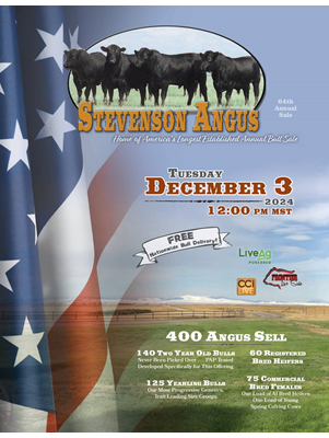 Stevenson Angus Annual Bull Sale Catalog